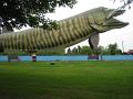 2012 WI Hayward Fish 001